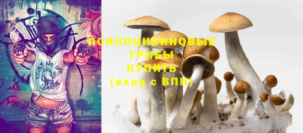 ешки Богородск