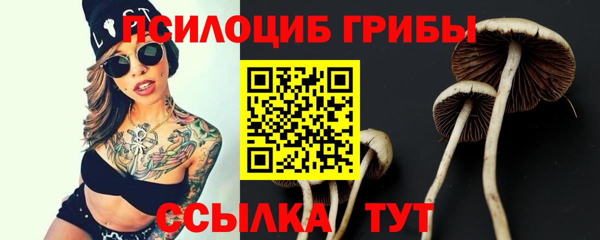 Галлюциногенные грибы мицелий Валуйки